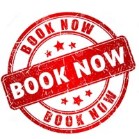 Best Party Bus Deals in Los Angeles CA